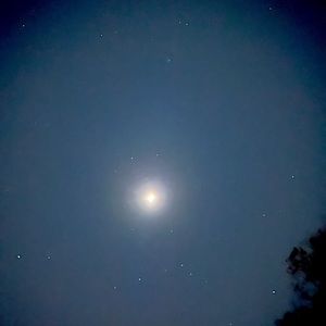 Meet your Posher, Jay.